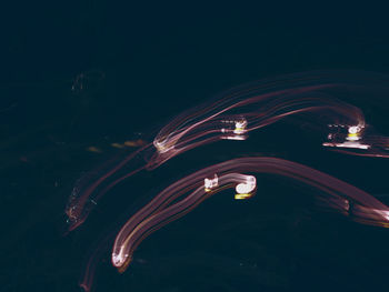 Illuminated water at night