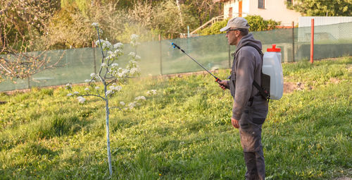 Treatment of trees from pests. fungicides and insecticides in a sprayer.