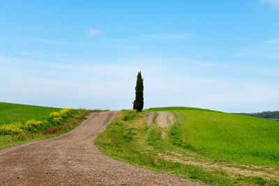 Scenic view of road amidst field against sky