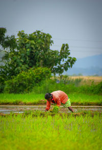 Man working on field against sky