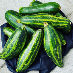 High angle view of vegetables