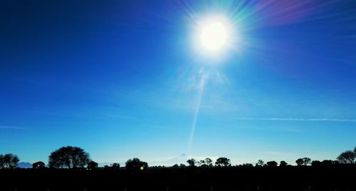 Silhouette trees against clear blue sky