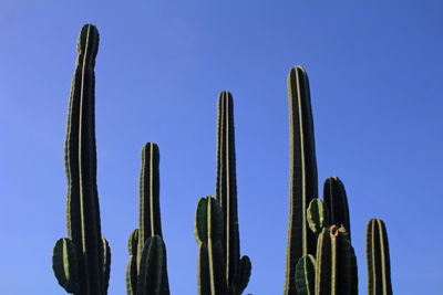 Close-up of nails against white background