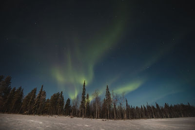 Breathtaking green dancing aurora borealis in the dark sky in sirkka, lapland, northern finland.