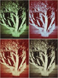 Close-up of red wall