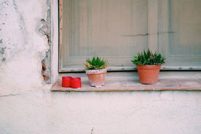 Potted plants on window sill