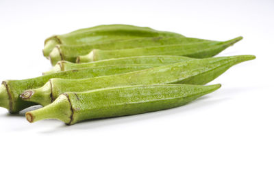 Close-up of green leaf against white background