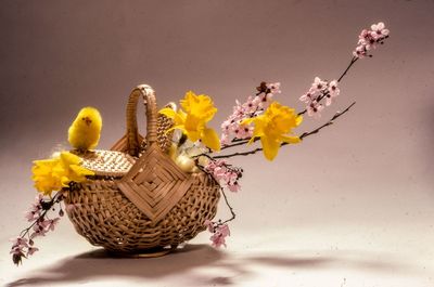 Artificial bird and flowers in wicker basket on colored background