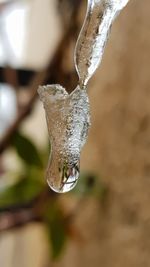 Close-up of icicles on snow