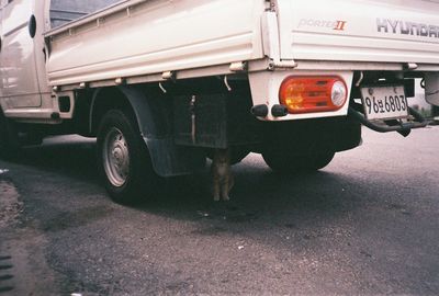 Cars moving on street