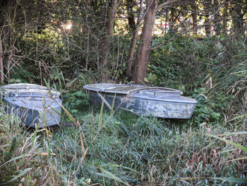 Abandoned and trees on field