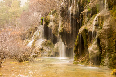 View of waterfall in forest