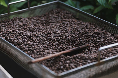 High angle view of coffee beans