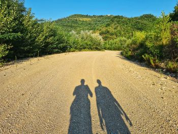 Shadow of man on road by trees