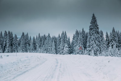 Snow covered road amidst trees against sky