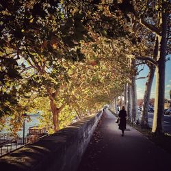 People walking on footpath