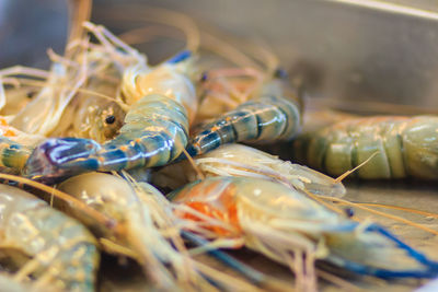 Close-up of crab for sale on table