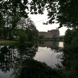 Reflection of trees in water