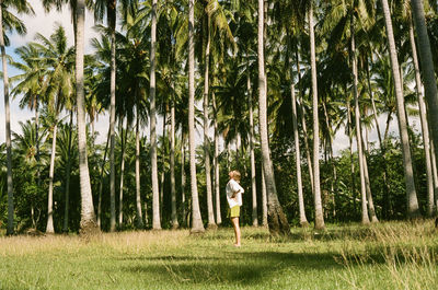 Somewhere in a palm tree forest in nusa penida island, bali, indonesia. 35mm kodak portra 400 film.