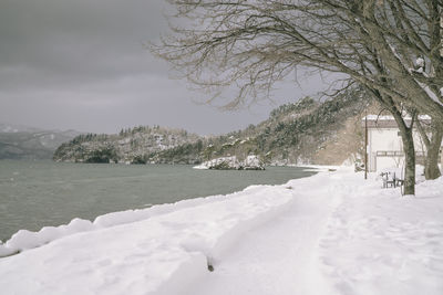 Scenic view of snow covered trees against sky
