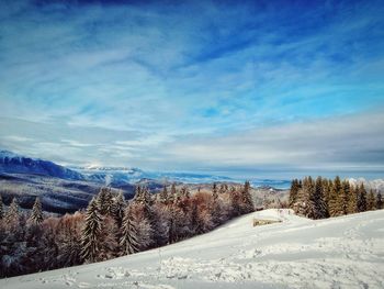 Snow covered landscape against blue sky