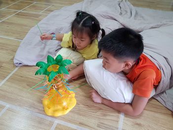 Siblings playing with toy on hardwood floor at home