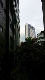 Buildings in city