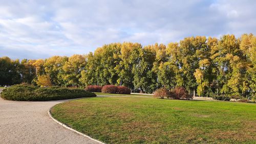 Trees on field against sky