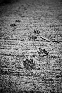 High angle view of footprints on sand