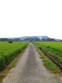 Rear view of woman riding bicycle on country road