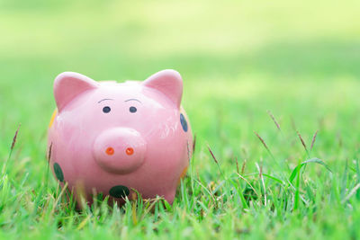 Close-up of stuffed toy on field