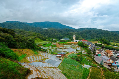 High angle view of green landscape against sky