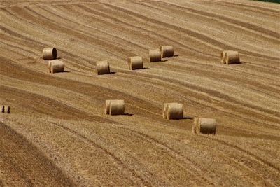 Hay bales on field