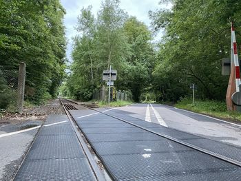 Road by trees in city against sky