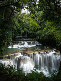 Scenic view of waterfall in forest