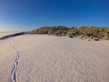 Scenic view of beach against clear blue sky