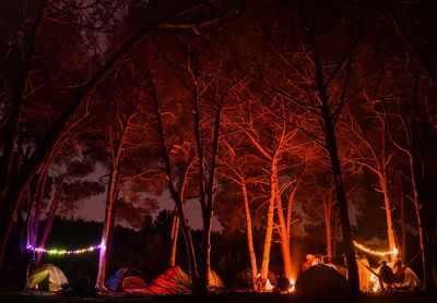 Silhouette people against illuminated trees at night