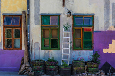 Plants in tires by ladder against house