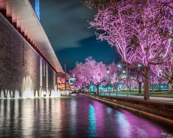 Fountain by illuminated tree in city at night