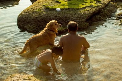 Rear view of shirtless boy sitting in water