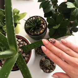 Close-up of hand holding ice cream on potted plant