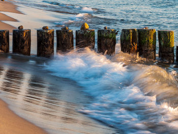 High angle view of wooden posts on sea