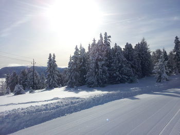 Scenic view of snow covered landscape