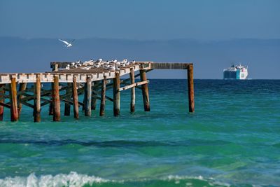 Seagulls on pier over sea against sky