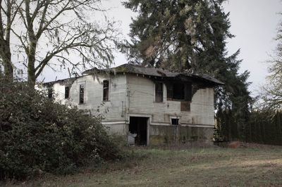 Abandoned house amidst trees on field against sky