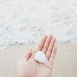 Cropped image of hand holding seashell at beach