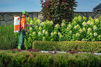 View of plants on field