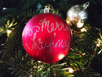 Close-up of christmas decorations hanging on tree