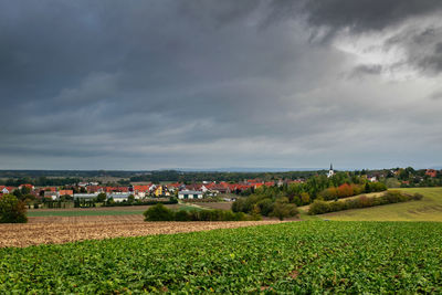 Scenic view of agricultural field against sky