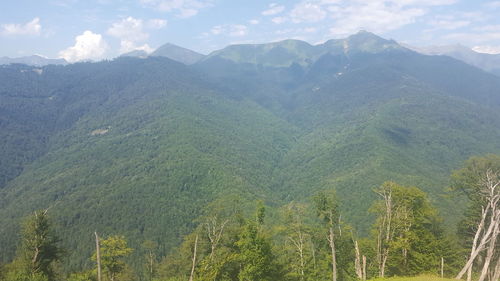 Scenic view of landscape and mountains against sky